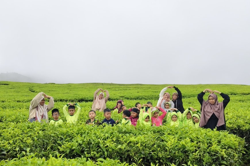 Kegiatan Studytour SD Akhlak Cendekia Muslim ke Alahan Panjang, Kabupaten Solok: Pengalaman Seru di Alam yang Indah