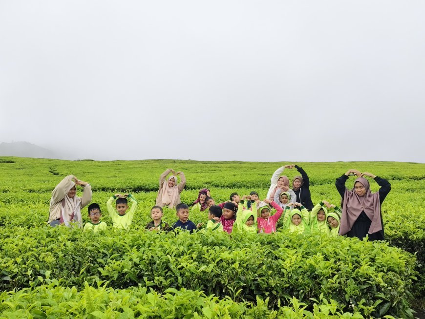 Kegiatan Studytour SD Akhlak Cendekia Muslim ke Alahan Panjang, Kabupaten Solok: Pengalaman Seru di Alam yang Indah